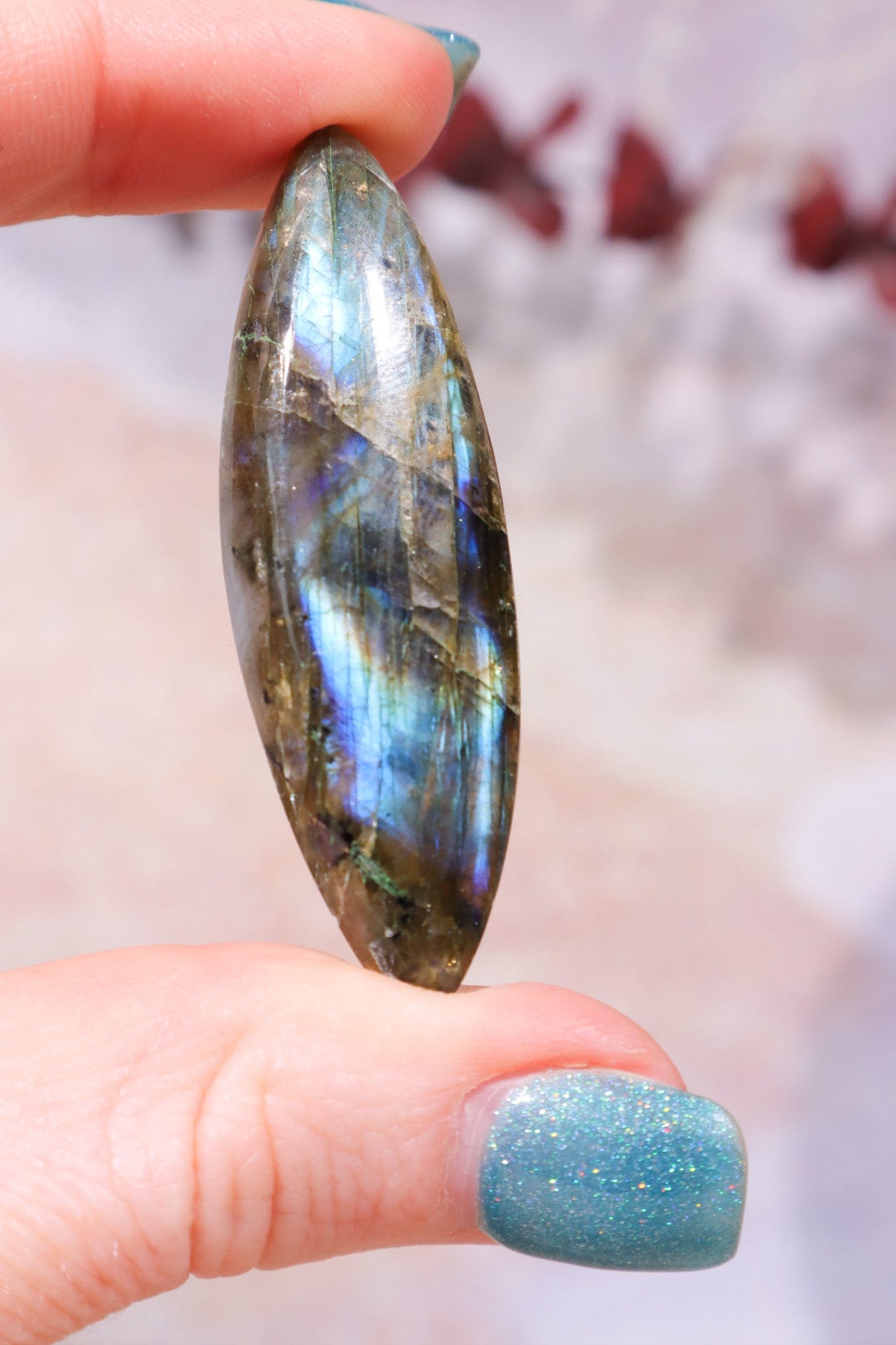 Labradorite Cabochons Freeform Cabochons Tali & Loz Crystals