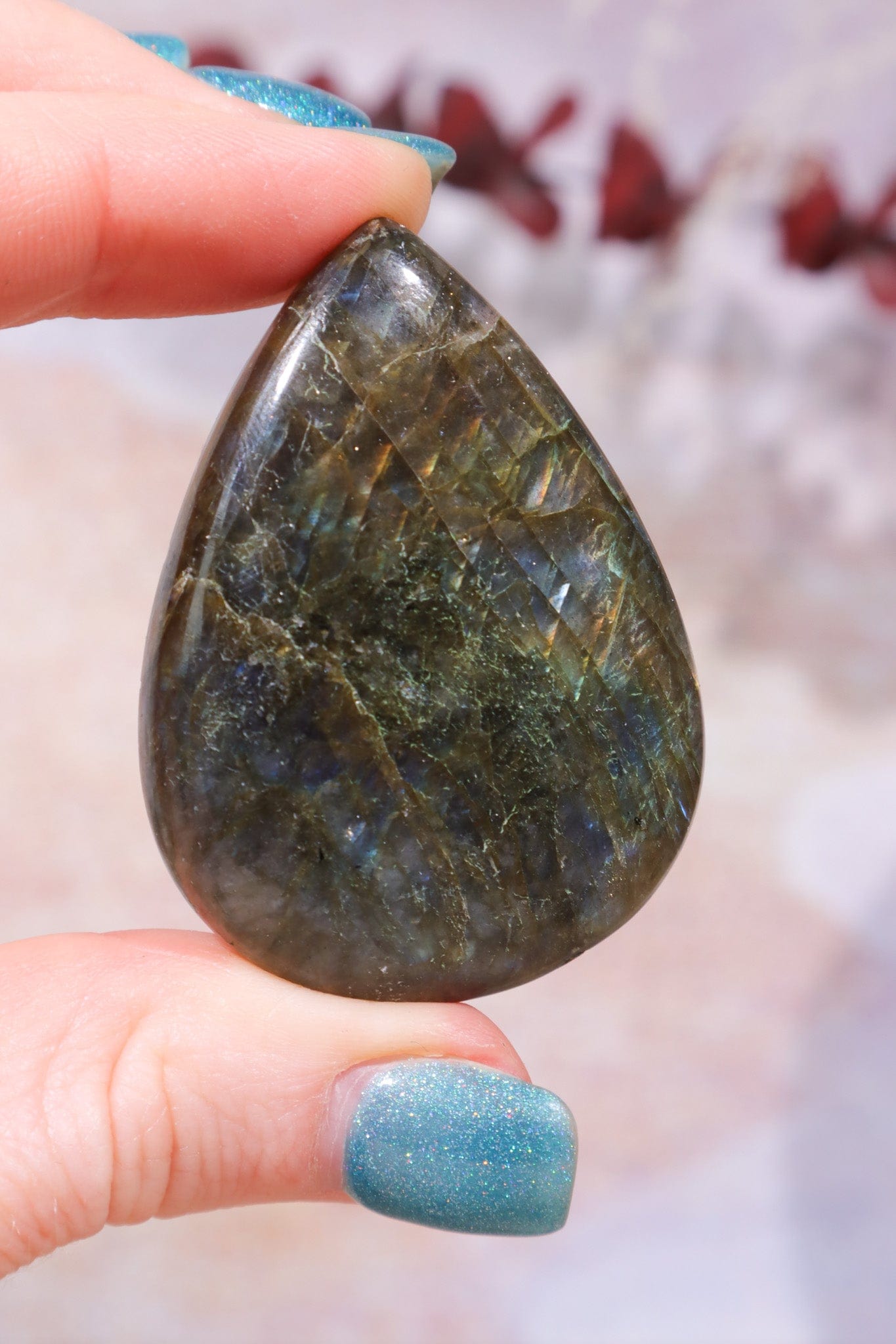 Labradorite Cabochons Teardrops 4.5/5cm Cabochons Tali & Loz Crystals