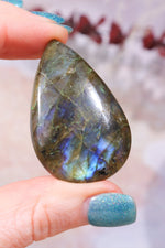 Labradorite Cabochons Teardrops 4.5/5cm Cabochons Tali & Loz Crystals