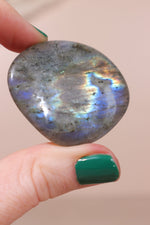 Labradorite Palmstones 4cm - Tali & Loz Crystals