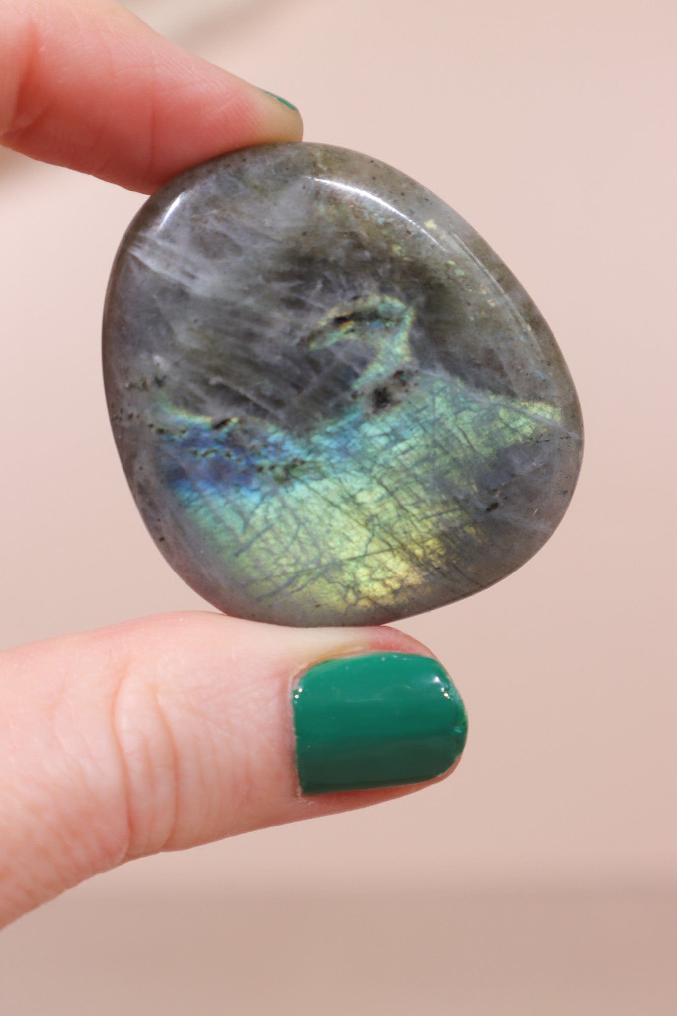 Labradorite Palmstones 4cm Palmstones Tali & Loz Crystals