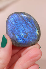 Labradorite Palmstones 4cm - Tali & Loz Crystals