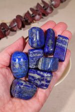 Lapis Lazuli Tumblestones Large 20-30 mm - Tali & Loz Crystals