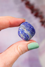Lapis Lazuli Tumblestones Large 20-30 mm Tumblestones Tali & Loz Crystals