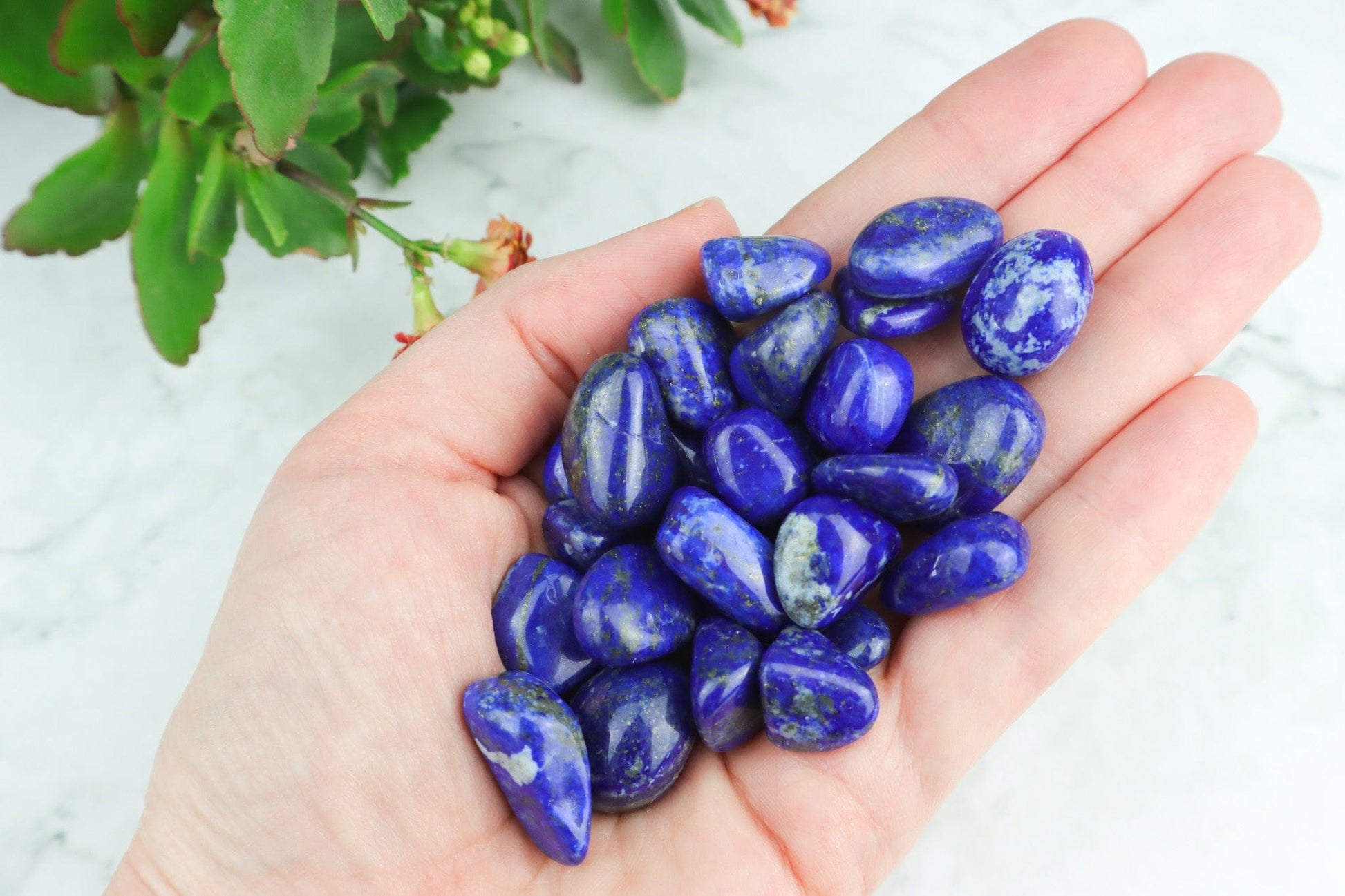 Lapis Lazuli Tumblestones - Peace/Communication Tumblestones Small (AAA Quality) Tali & Loz