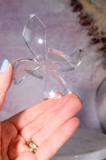 Large Clear Plastic Egg/Sphere Stand Specimen Stand Tali & Loz Crystals