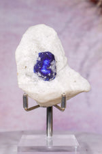 Lazurite in White Marble 7cm, Sar-e-Sang, Badakhshan, Afghanistan, Sold as Seen Minerals Tali & Loz Crystals