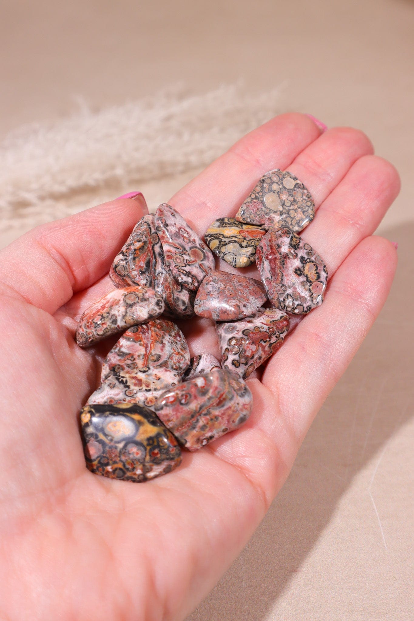 Leopard Skin Jasper Tumblestones 20-30mm - Tali & Loz Crystals