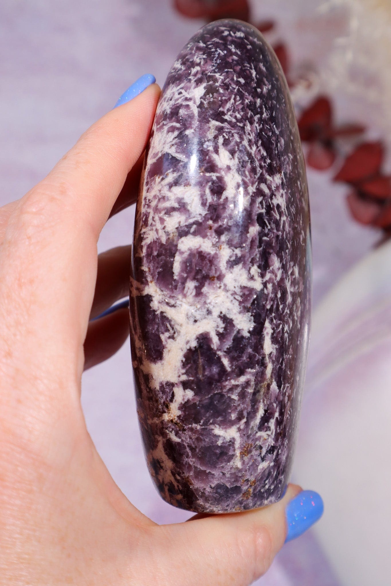 Lepidolite Freeform 0.4kg Freeform Tali & Loz Crystals