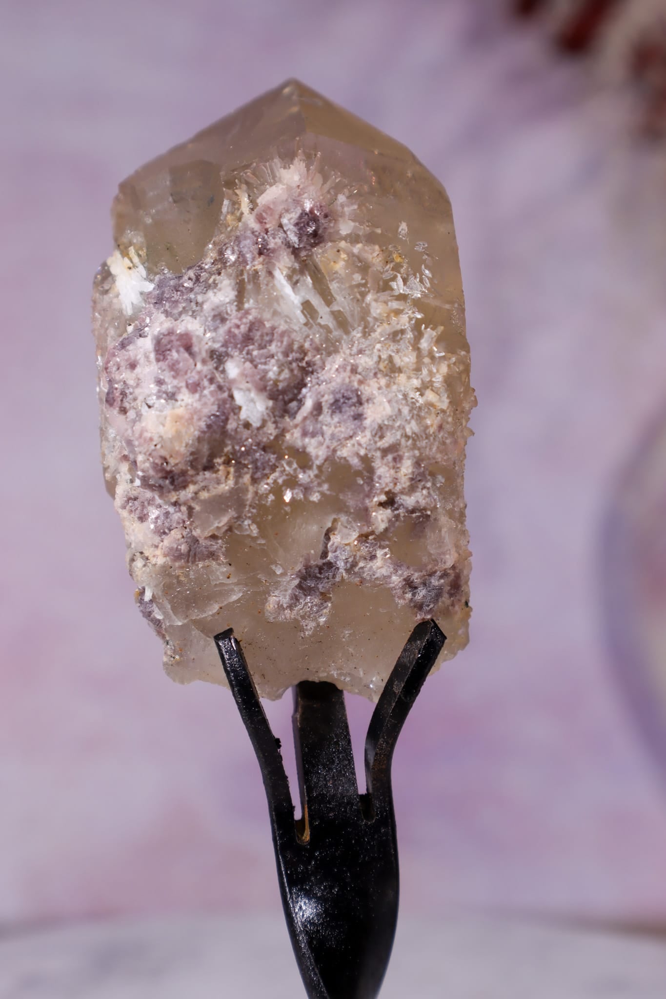 Lepidolite in Citrine on Stand 11.5cm, Brazil Specimen Tali & Loz Crystals