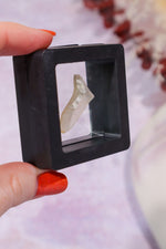 Libyan Desert Glass Tektite 1.46gr A-Grade Tektites Tali & Loz Crystals