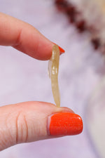 Libyan Desert Glass Tektite 2.97gr A-Grade Tektites Tali & Loz Crystals