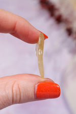 Libyan Desert Glass Tektite 2.97gr A-Grade Tektites Tali & Loz Crystals