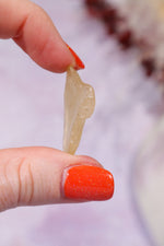 Libyan Desert Glass Tektite 2.97gr A-Grade Tektites Tali & Loz Crystals