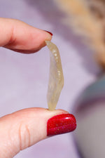 Libyan Desert Glass Tektite 3.25gr AAA-Grade Tektites Tali & Loz Crystals