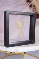 Libyan Desert Glass Tektite 4.55gr A-Grade Tektites Tali & Loz Crystals