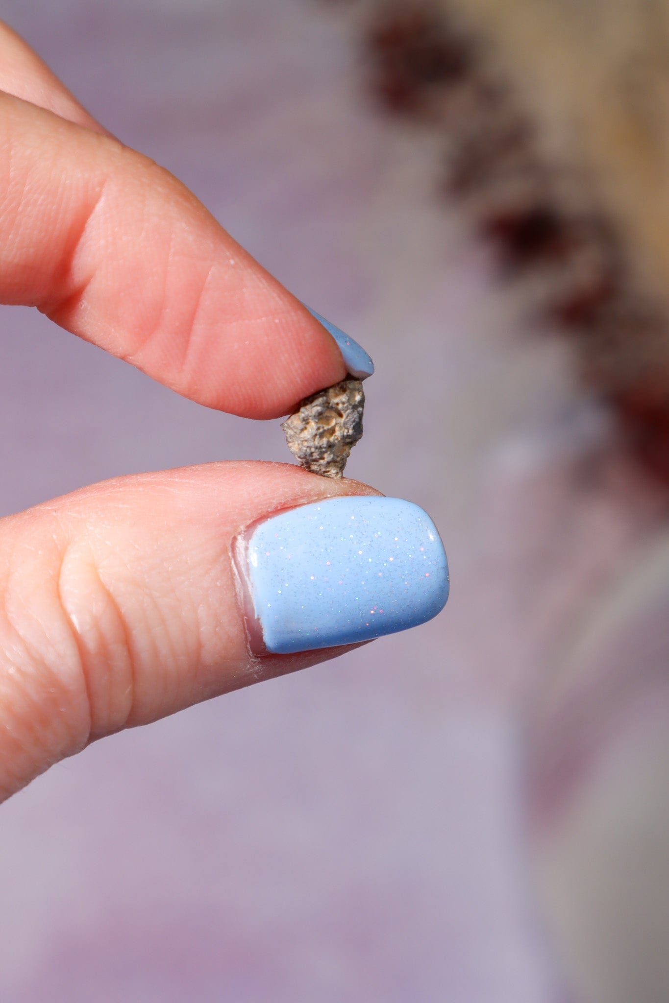 Lunar Meteorite, Northwest Africa, Feldspathic Breccia, Intuitively Chosen Meteorite Tali & Loz Crystals