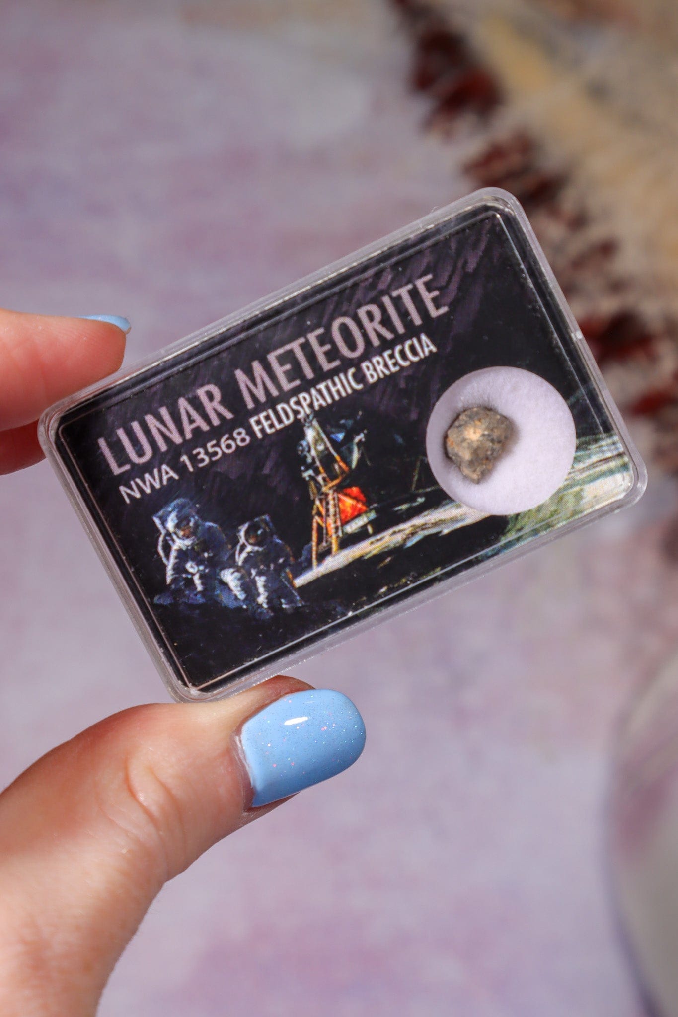 Lunar Meteorite, Northwest Africa, Feldspathic Breccia, Intuitively Chosen Meteorite Tali & Loz Crystals