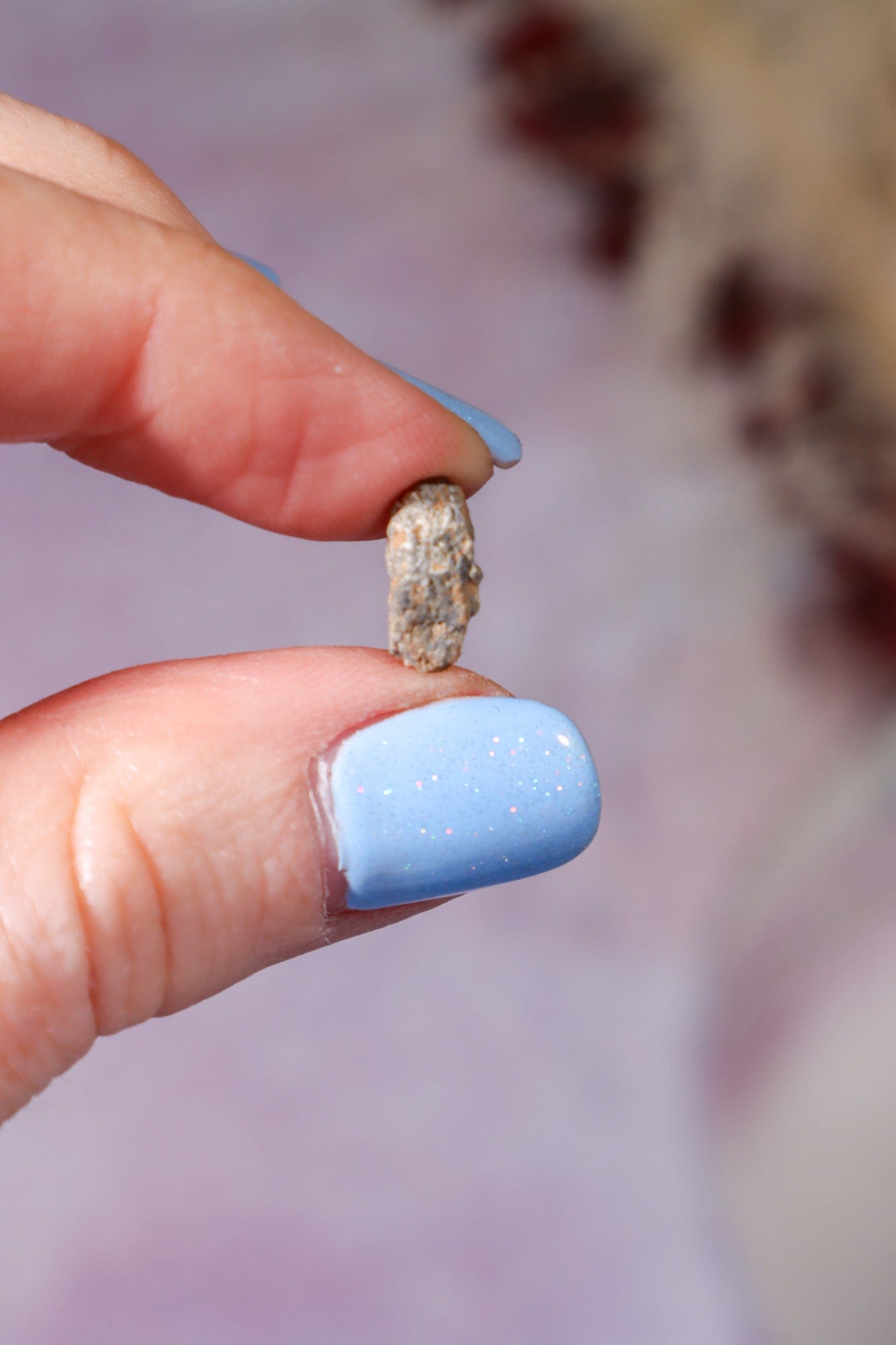 Lunar Meteorite, Northwest Africa, Feldspathic Breccia, Intuitively Chosen Meteorite Tali & Loz Crystals