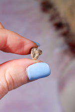 Lunar Meteorite, Northwest Africa, Feldspathic Breccia, Intuitively Chosen Meteorite Tali & Loz Crystals