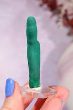 Malachite Stalactite 17gr | Zaire- Congo Minerals Tali & Loz Crystals