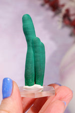 Malachite Stalactite 17gr | Zaire- Congo Minerals Tali & Loz Crystals