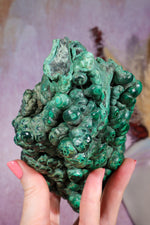 Malachite Stalactite | 18cm | Democratic Republic of Congo Minerals Tali & Loz Crystals