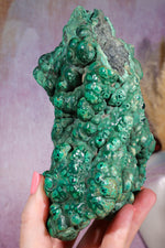 Malachite Stalactite | 18cm | Democratic Republic of Congo Minerals Tali & Loz Crystals