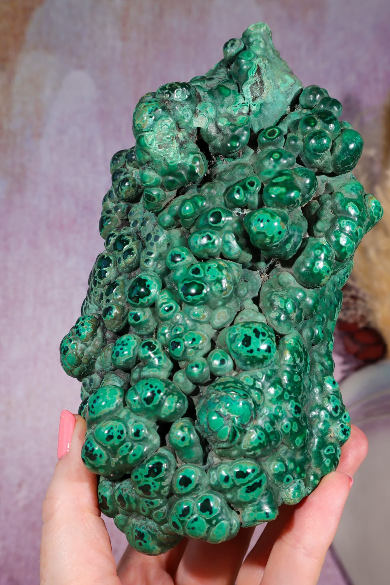 Malachite Stalactite | 18cm | Democratic Republic of Congo Minerals Tali & Loz Crystals
