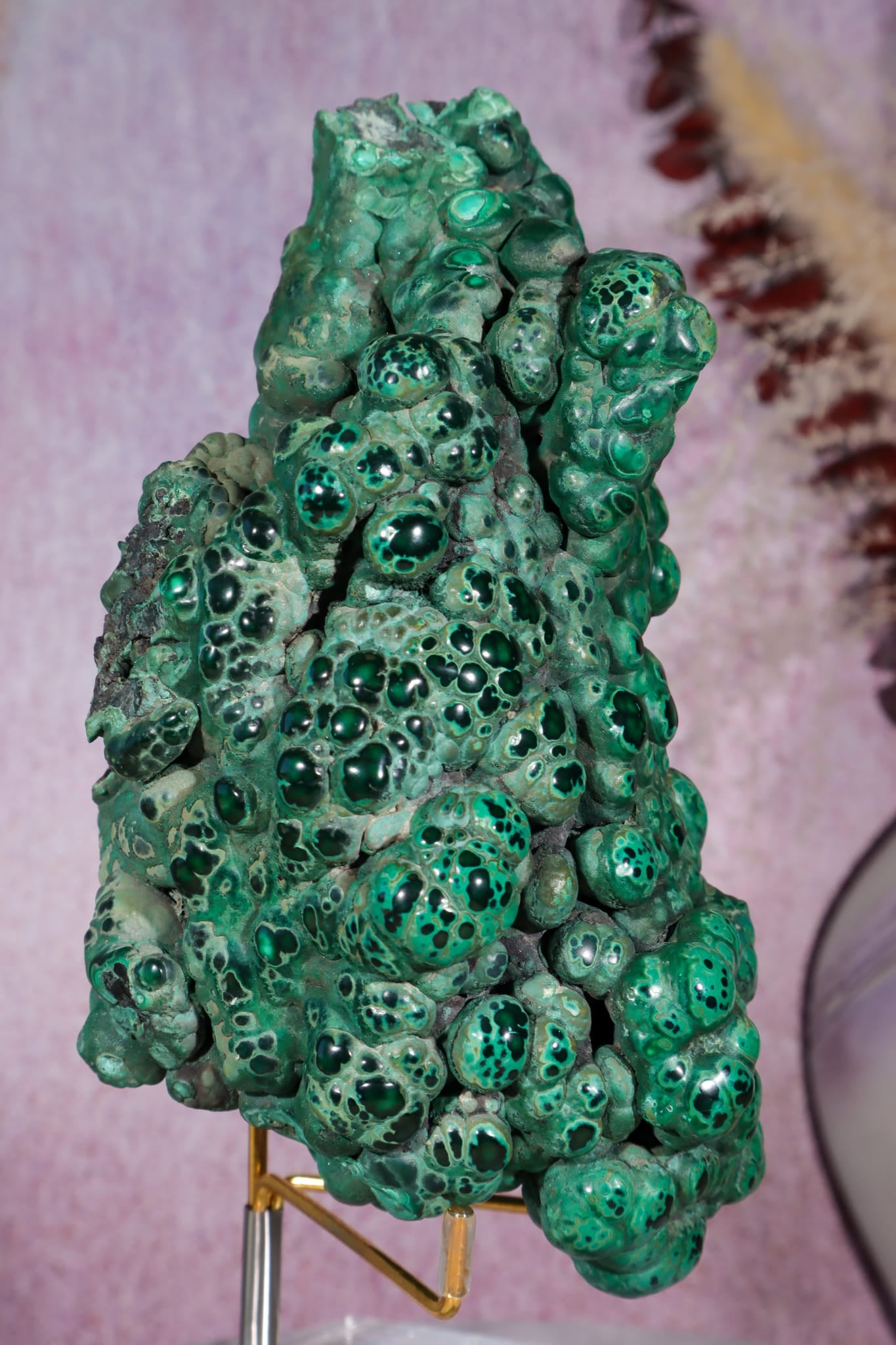 Malachite Stalactite | 18cm | Democratic Republic of Congo Minerals Tali & Loz Crystals