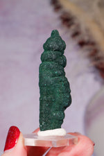 Malachite Stalactite 29gr,  Zaire- Congo Minerals Tali & Loz Crystals