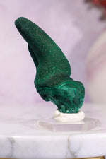 Malachite Stalactite 41gr | Zaire- Congo Minerals Tali & Loz Crystals