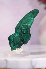 Malachite Stalactite 41gr | Zaire- Congo Minerals Tali & Loz Crystals