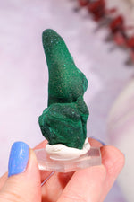 Malachite Stalactite 41gr | Zaire- Congo Minerals Tali & Loz Crystals
