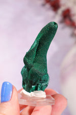 Malachite Stalactite 41gr | Zaire- Congo Minerals Tali & Loz Crystals