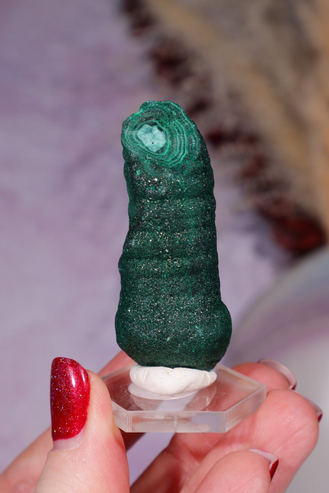 Malachite Stalactite 42gr,  Zaire- Congo Minerals Tali & Loz Crystals