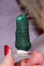 Malachite Stalactite 42gr,  Zaire- Congo Minerals Tali & Loz Crystals