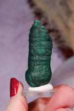 Malachite Stalactite 42gr,  Zaire- Congo Minerals Tali & Loz Crystals