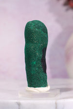 Malachite Stalactite 46gr | Zaire- Congo Minerals Tali & Loz Crystals
