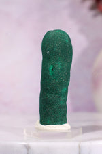 Malachite Stalactite 46gr | Zaire- Congo Minerals Tali & Loz Crystals