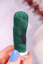 Malachite Stalactite 46gr | Zaire- Congo Minerals Tali & Loz Crystals