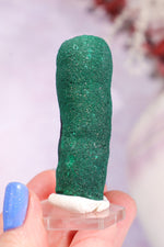 Malachite Stalactite 46gr | Zaire- Congo Minerals Tali & Loz Crystals