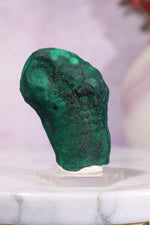 Malachite Stalactite 78gr | Zaire- Congo Minerals Tali & Loz Crystals