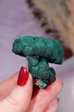 Malachite Stalactite 83gr , Zaire- Congo Minerals Tali & Loz Crystals
