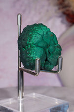 Malachite Stalactite 83gr , Zaire- Congo Minerals Tali & Loz Crystals