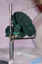 Malachite Stalactite 83gr , Zaire- Congo Minerals Tali & Loz Crystals
