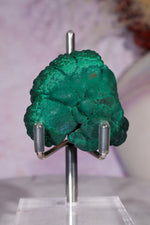 Malachite Stalactite 83gr , Zaire- Congo Minerals Tali & Loz Crystals