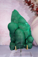 Malachite Twin Stalactite Specimen 0.7KG | Zaire- Congo Minerals Tali & Loz Crystals