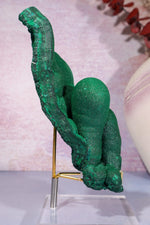 Malachite Twin Stalactite Specimen 0.7KG | Zaire- Congo Minerals Tali & Loz Crystals