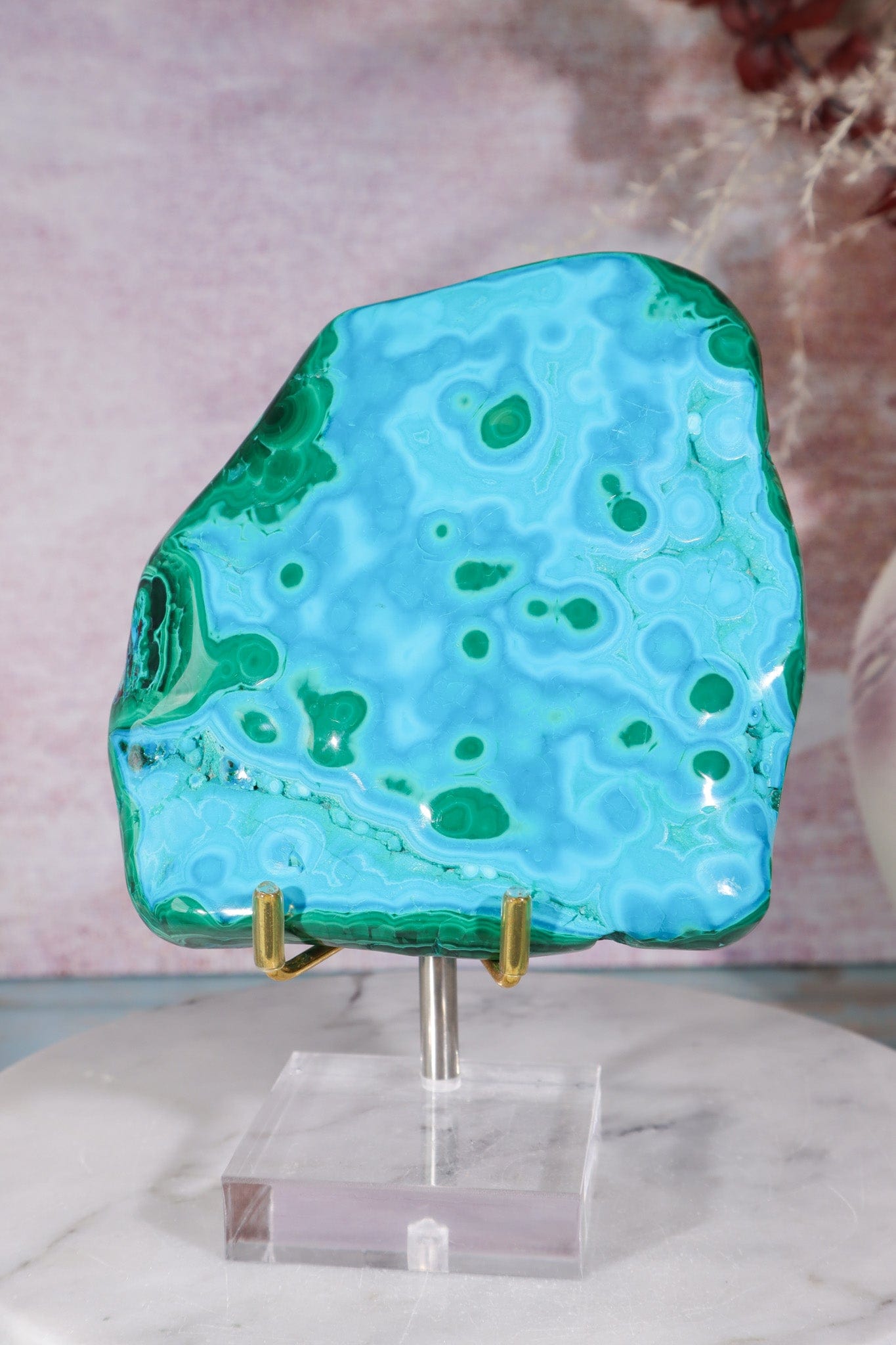 Malacholla Slab 10cm Slabs Tali & Loz Crystals